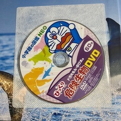 小学館の図鑑 Neo 危険生物 DVD＆帯付きの画像