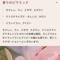 【未使用】Dr. Vranjes(ドットールヴラニエス) ルームフレグランス⭐︎デュフューザー⭐︎の画像