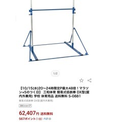 定価6万円以上⭐️三和体育 簡易式低鉄棒 DX型(屋内外兼用)の画像