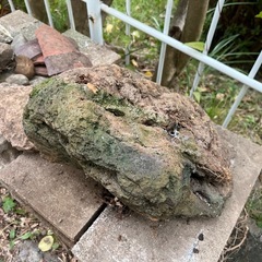 中古セメントブロック　石（軽石）の画像