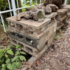 中古セメントブロック　石（軽石）の画像