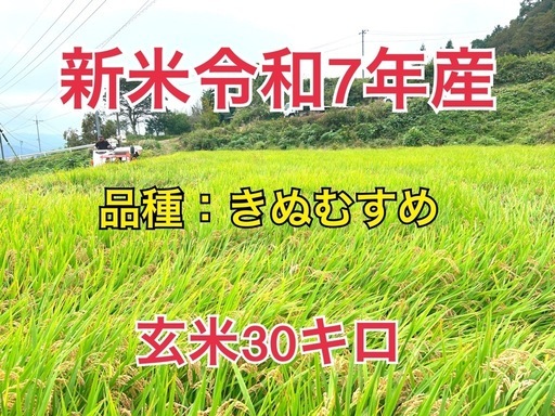 ①令和7年産新米　【きぬむすめ30キロ玄米】