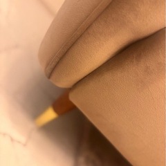 LOWYA ベルベットソファーの画像
