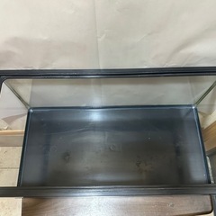 60センチ
水槽の画像