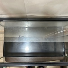 60センチ
水槽の画像