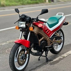 北海道函館市 NSR125F 【限定1000台希少車⠀】の画像