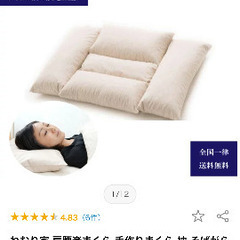 富山 ねむり家 肩腰楽まくら 手作りまくら 枕 そばがら 枕 涼しいまくら まくらカバー付 快眠睡眠首痛腰痛の画像