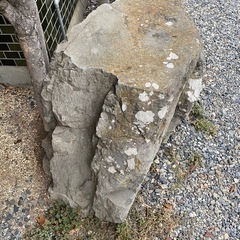 庭石の画像