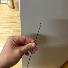 宵姫爽穂先のみの画像