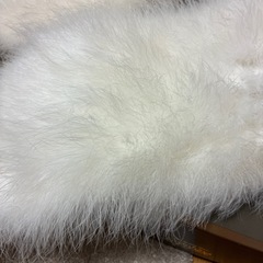 着物用
ショールの画像