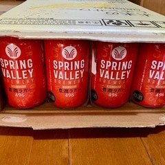 キリン スプリングバレー 豊潤ラガー350ml 24本 1ケース ( おまけ付き ) 新品 未使用 ビール お酒 酎ハイ ハイボール 発泡酒の画像