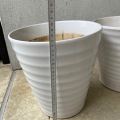 ①【ガーデニング】鉢・プランター (7号)6個の画像
