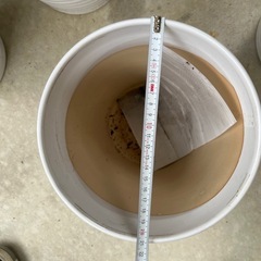 ①【ガーデニング】鉢・プランター (7号)6個の画像