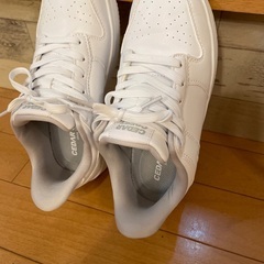 手を使わずすっぽり入るスニーカーの画像