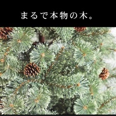 北欧クリスマスツリー　210cmの画像