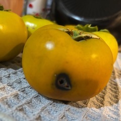柿の画像