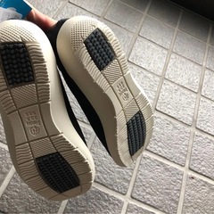パンジー　フラットシューズの画像