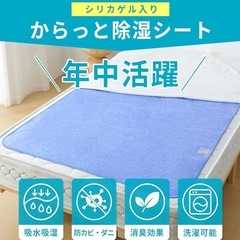 ⭕除湿シート⭕の画像