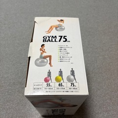 バランスボール(ジムボール))の画像