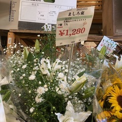 ましろ束12801280の画像
