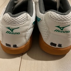 MIZUNO体育館履き　25.0cmグリーン　袋付きの画像