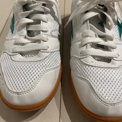 MIZUNO体育館履き　25.0cmグリーン　袋付きの画像