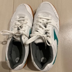 MIZUNO体育館履き　25.0cmグリーン　袋付きの画像