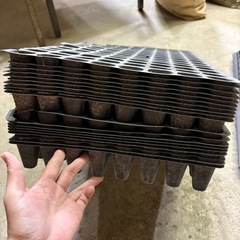 ①育苗ポット??
の画像