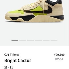 取り消しあり　NIKE トラヴィス　26センチ　新品の画像