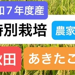 新米　令和7年産　特別栽培米　あきたこまち　玄米の画像