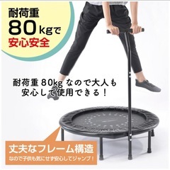 TIGORA ティゴラ トランポリン ハンドル付き 取っ手付き の画像