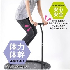 TIGORA ティゴラ トランポリン ハンドル付き 取っ手付き の画像