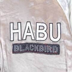 アヴィレックス HABU SKA JACKET サテン スカジャン リバーシブル ハブ スカ ジャケット M ベージュ 6102142 ユニセックス AVIREX Tの画像