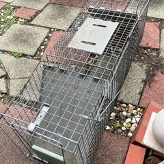 迷い猫ちゃん救済などに…の画像
