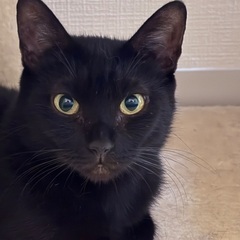 仲良し真っ黒黒親子
