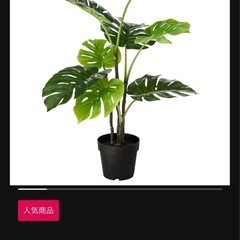 イケアFEJKA フェイカ モンステラ 人工観葉植物 19cm 茨城受取りの画像