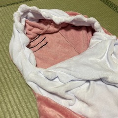 サメ　着ぐるみの画像