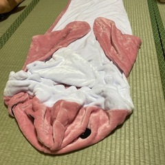 サメ　着ぐるみの画像