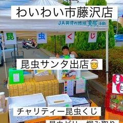 🌈昆虫くじイベント開催✨10/19わいわい市藤沢店☘️