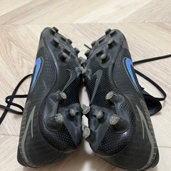ナイキスパイクの画像