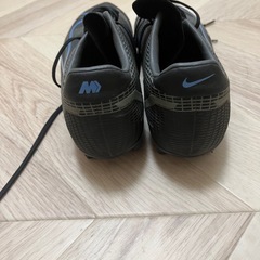 ナイキスパイクの画像