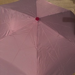 最終値下げ★折り畳み傘　レッド　赤　レディース　ケース付きの画像