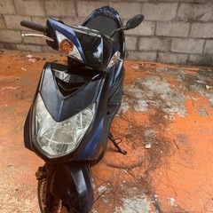 シグナス2型国内　難あり　受付終了の画像