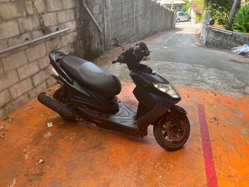 シグナス2型国内　難あり　受付終了