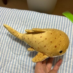 【広島】マリホ水族館グッズの画像