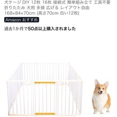 犬　ペット用品　飼育セットの画像