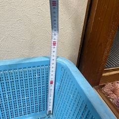 入れ物の画像