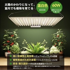 植物ライト　新品未使用の画像