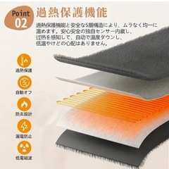 電気毛布 掛け敷き両用 8段階温度調節 丸洗いOK ダニ退治付 アイボリー 白の画像