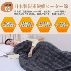 電気毛布 掛け敷き両用 8段階温度調節 丸洗いOK ダニ退治付 アイボリー 白の画像
